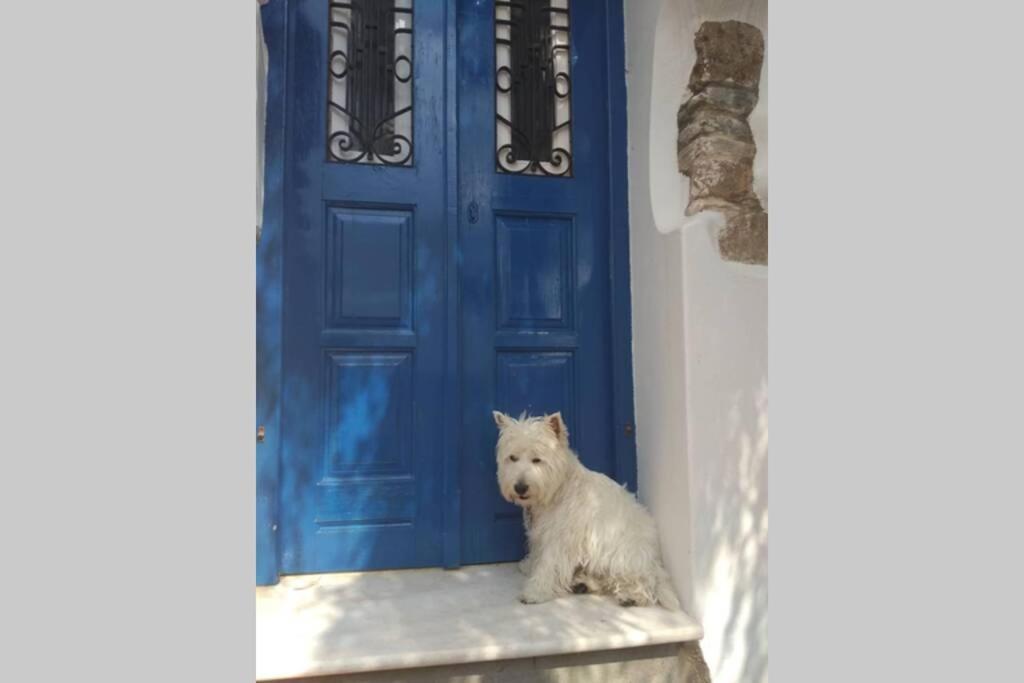 Blue & White: An Absolute Aegean Dream House Villa Galini  Eksteriør bilde
